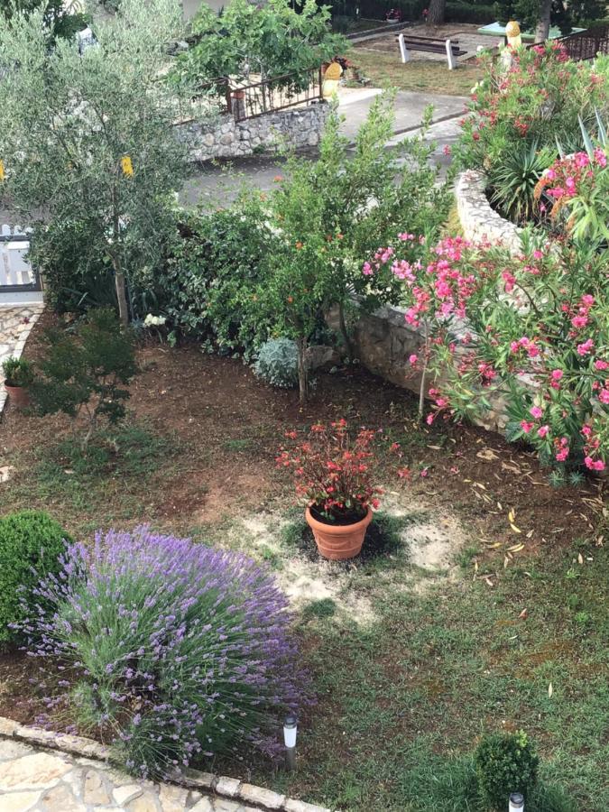 Apartmani Misic Ždrelac Esterno foto