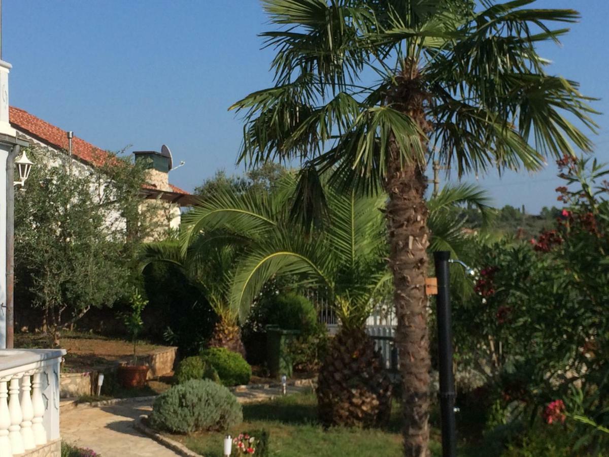 Apartmani Misic Ždrelac Esterno foto